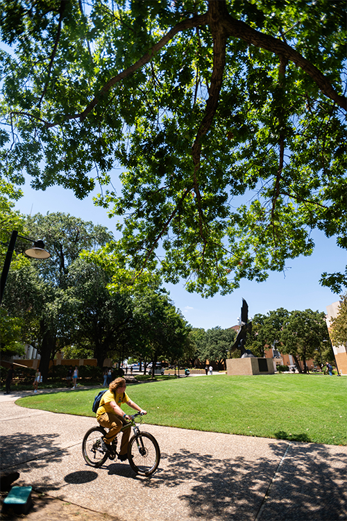 Student riding bike on campus